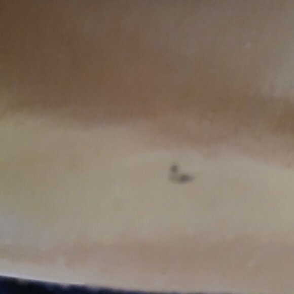 The Sak Women's Brown Pebbled Leather Hobo Handbag GUC - Picture 13 of 13